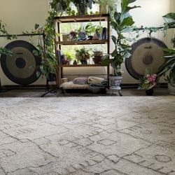 Amazing Hand Tufted Wool Jaipur Rug carpet 9x13