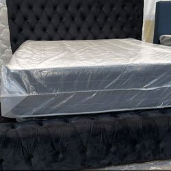 Queen Platform Bed With Mattress Super Sale 