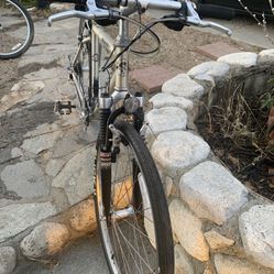 Giant  Iguana Bike 