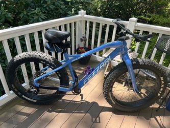 Fat tire bike
