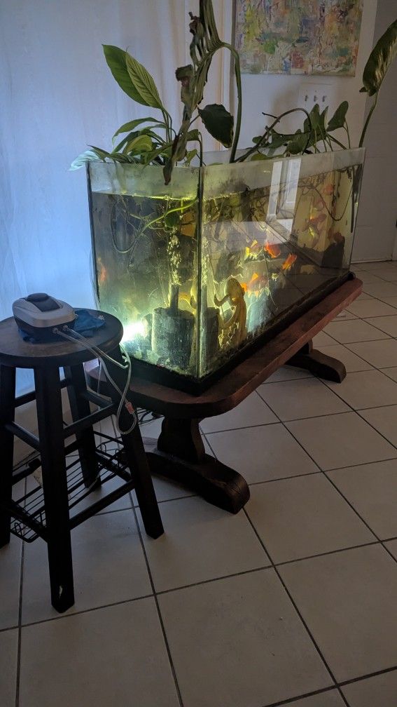55 Gallon Aquarium  With Stand Air Pump And 2 Sponge Filters