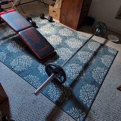 300 Lb Olympic Barbell Set