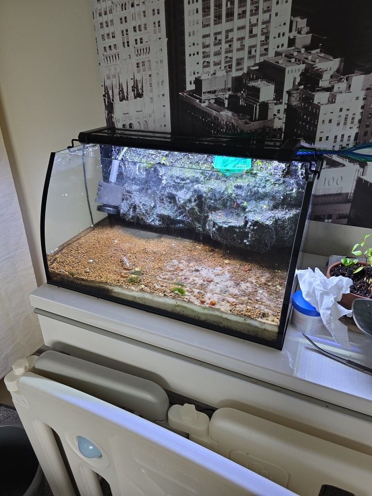 8 Gallon Fish Tank