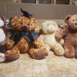 Various Teddy Bears