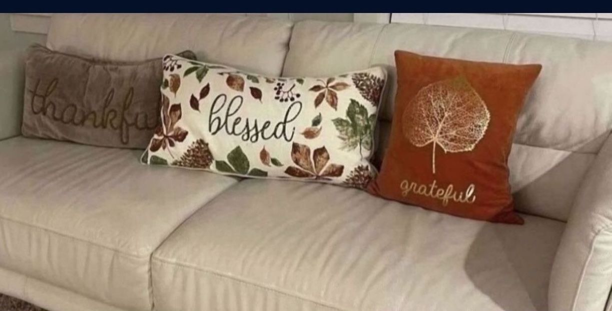 Fall/thanksgiving Pillows