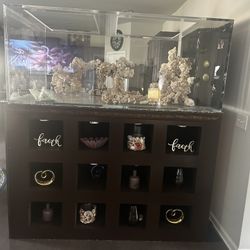 Aquarium 450 Gallon 