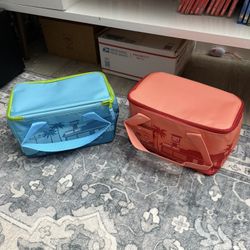 Trader Joe’s Mini Insulated Bags