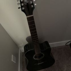 takamine Guitar
