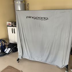 Ping pong table