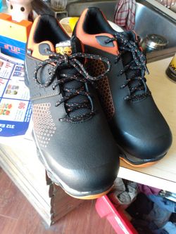 Timberlands Composite Toe Shoe