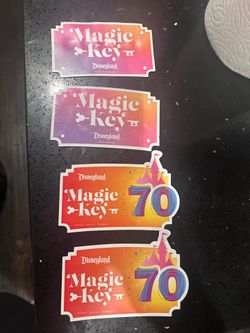 Magic  key magnets Disneyland