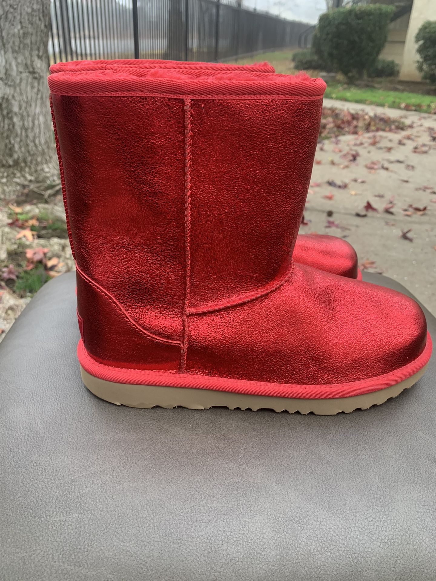 UGG Boots (New)