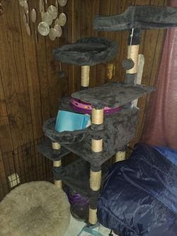 Cat Castle