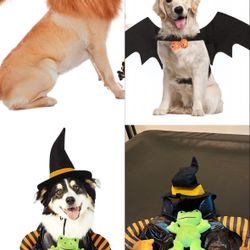 Large Dog Costume