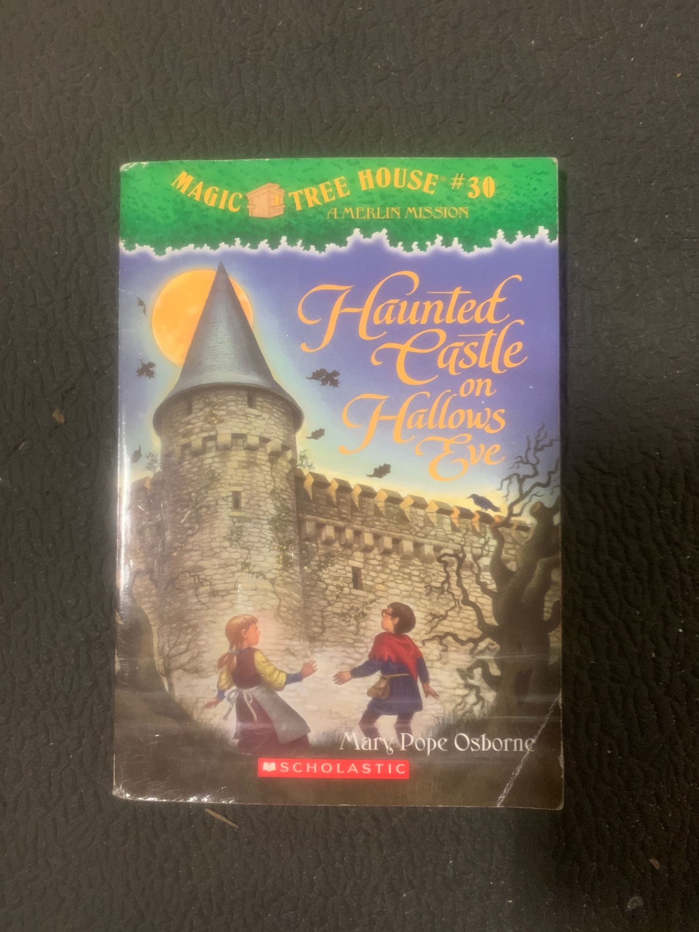 Magic tree house #30 haunted castle FREE with purchase