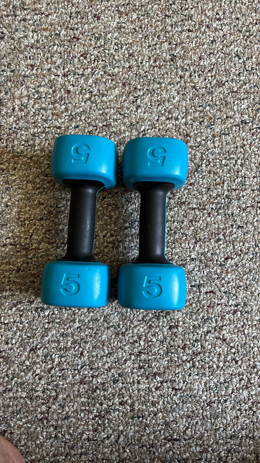 5lb Dumbbells