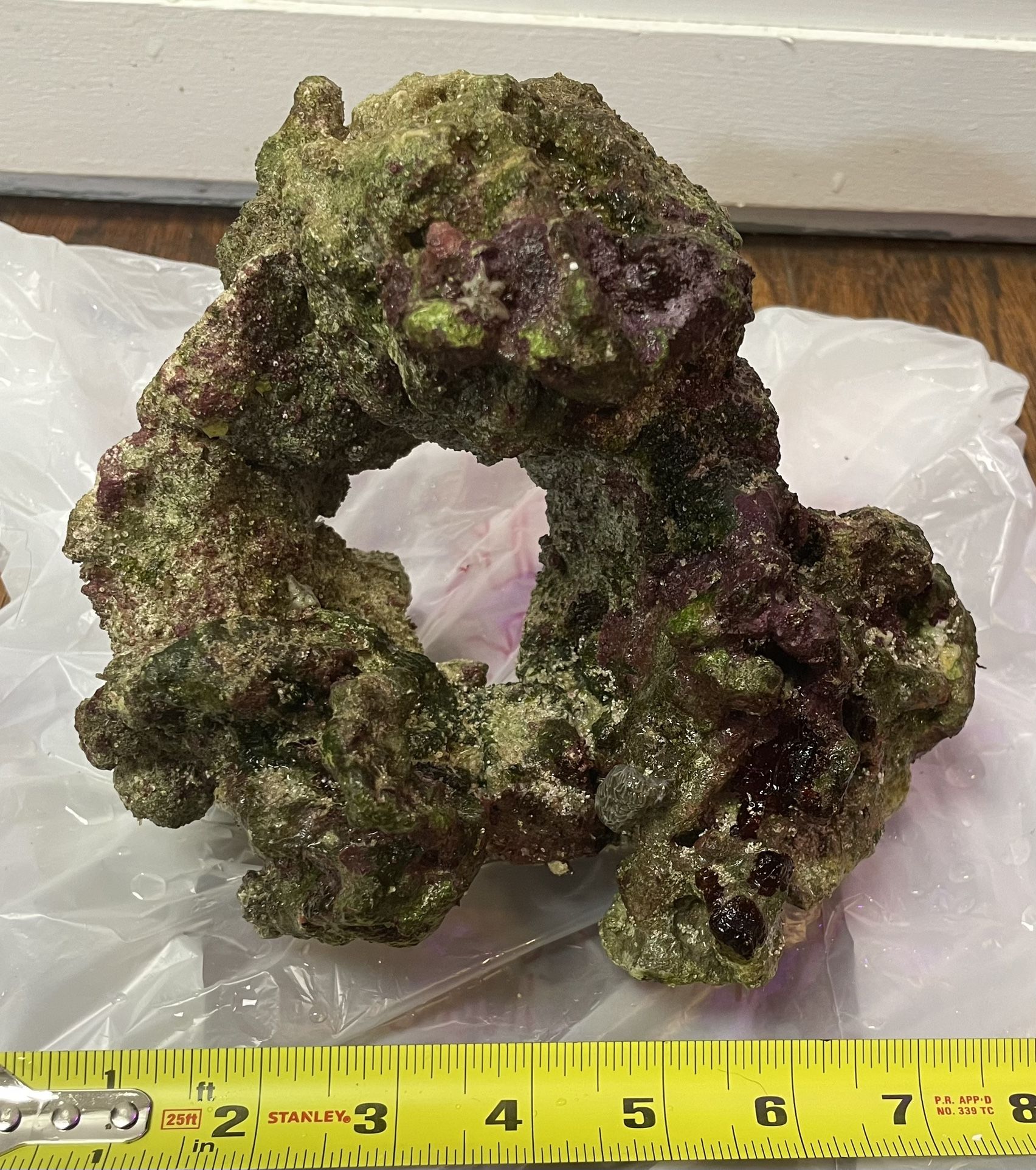 Wet Caribsea Rock shapes Donut