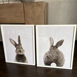 Nursery Wall Art (bunny Art)