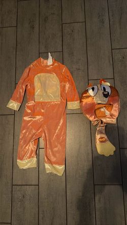 Bingo Costume
