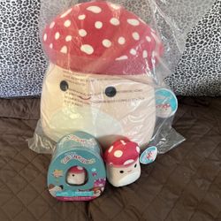 Squishmallow bundle 