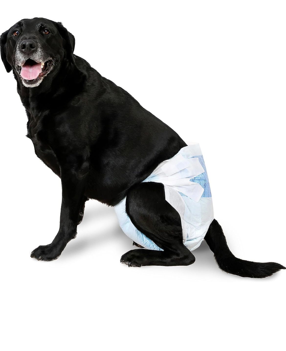 Hartz Disposable Dog Diapers, Size L 5 count, Comfortable & Secure Fit