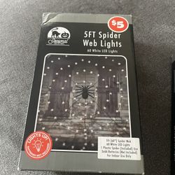 5ft Spider Web Lights