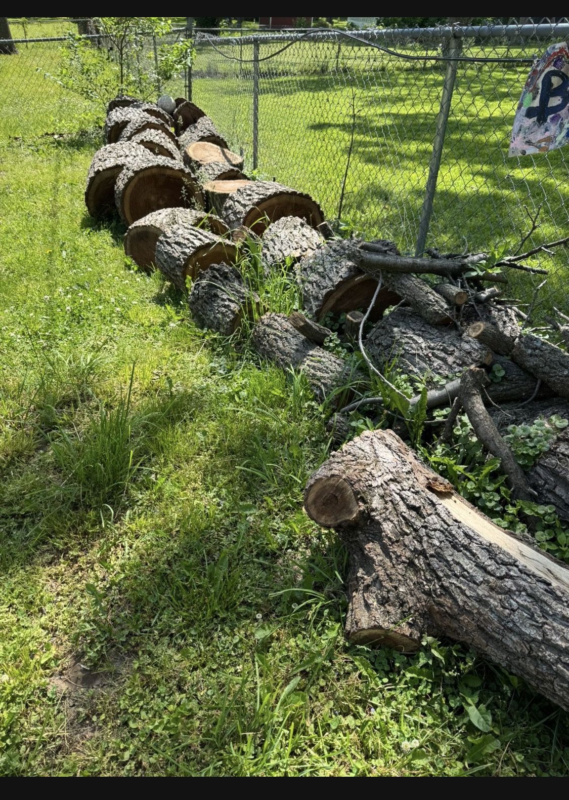 FREE WALNUT WOODS