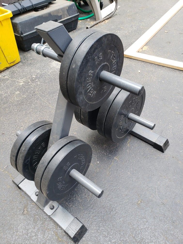 Various Weights & Bars Including Olympic Size