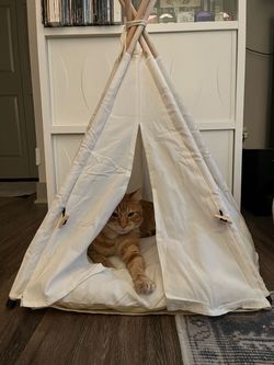 Pet tent with cushion