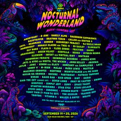 Sunday vip wristband