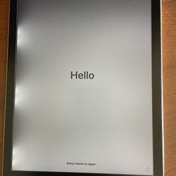 iPad Air 2 - 64 GB  9.7 Inch (Display Slighty Damaged - Dark