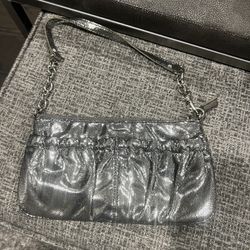 Silver Purse