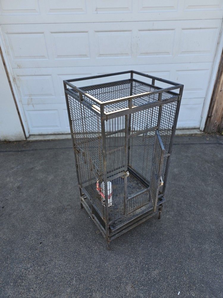 Parrot Cage