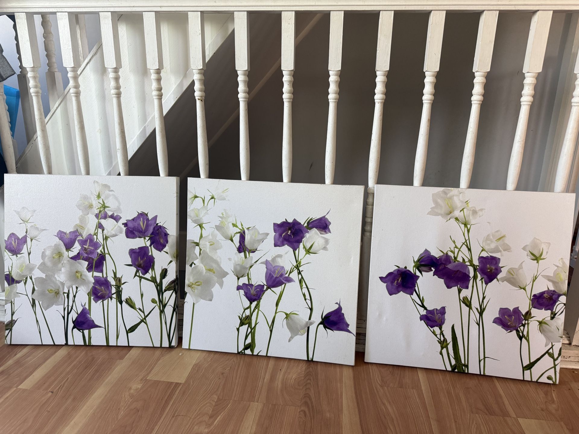 Set Of 3 Canvases