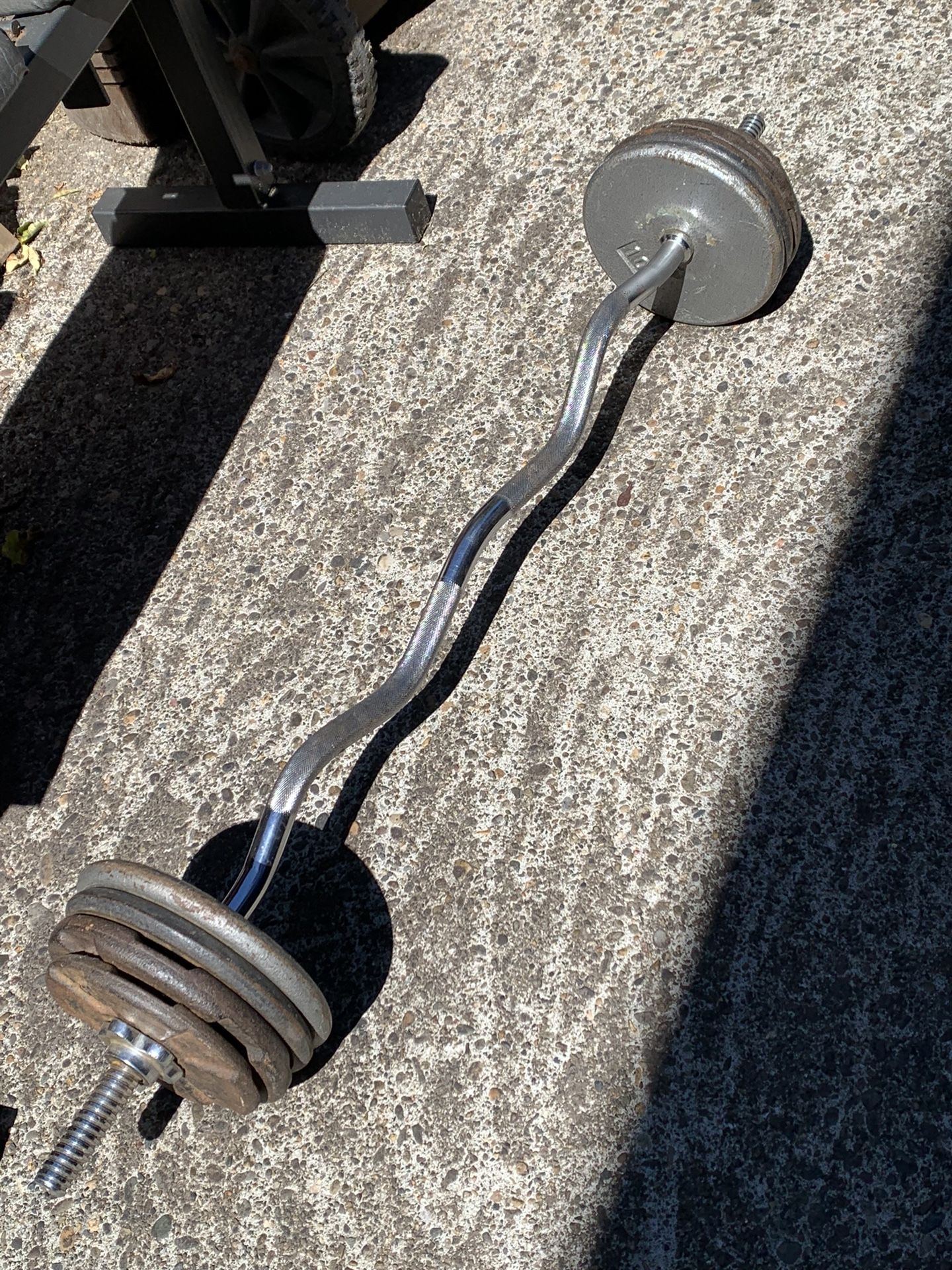 Curl Bar With 65 Lbs Of Standard Weights
