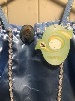 Cinderella costume