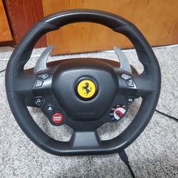 Thrustmaster Racing Wheel