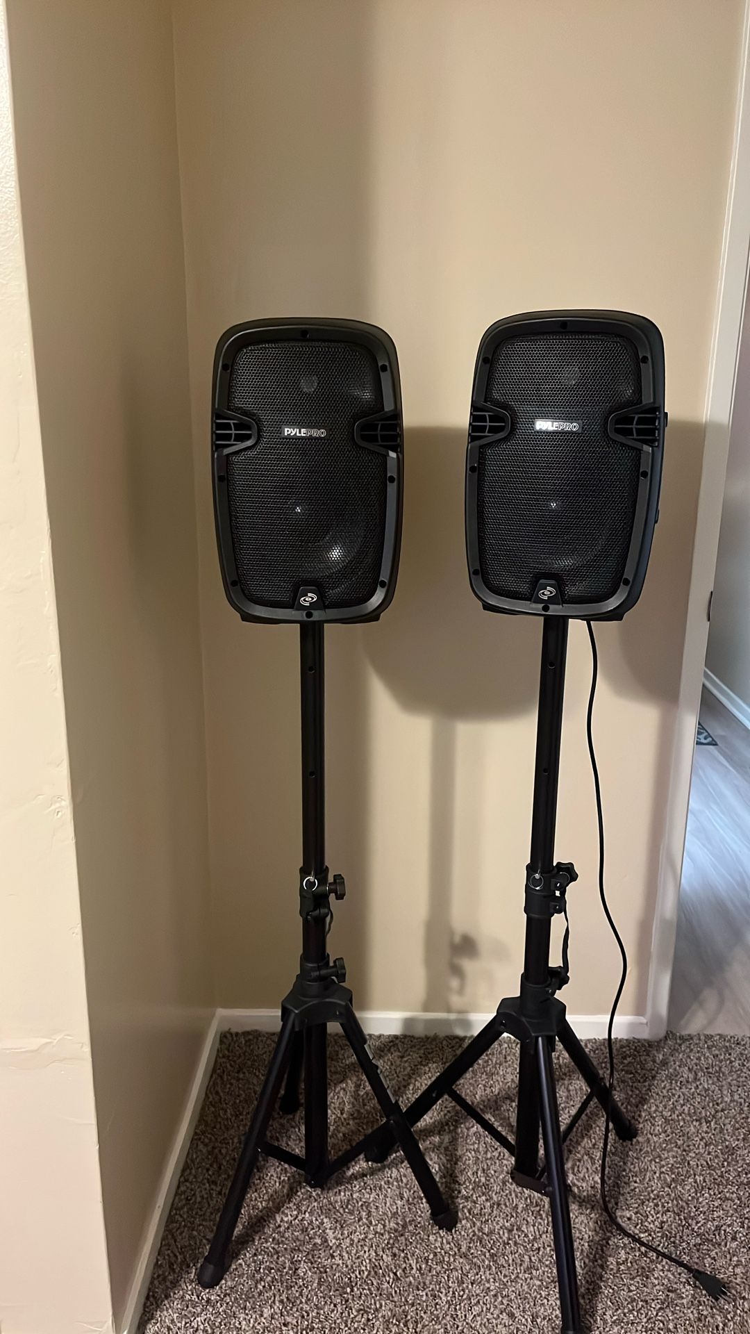 Pyle Pro Active To Passive Speakers