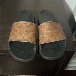Coach Sandals 6 Woman
