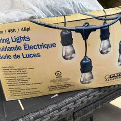 Outdoor Lights