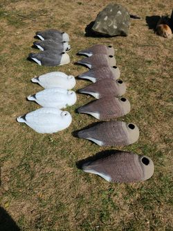 13 Goose Decoys