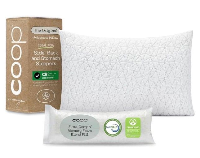 New Factory-Sealed Coop Adjustable Queen Pillow