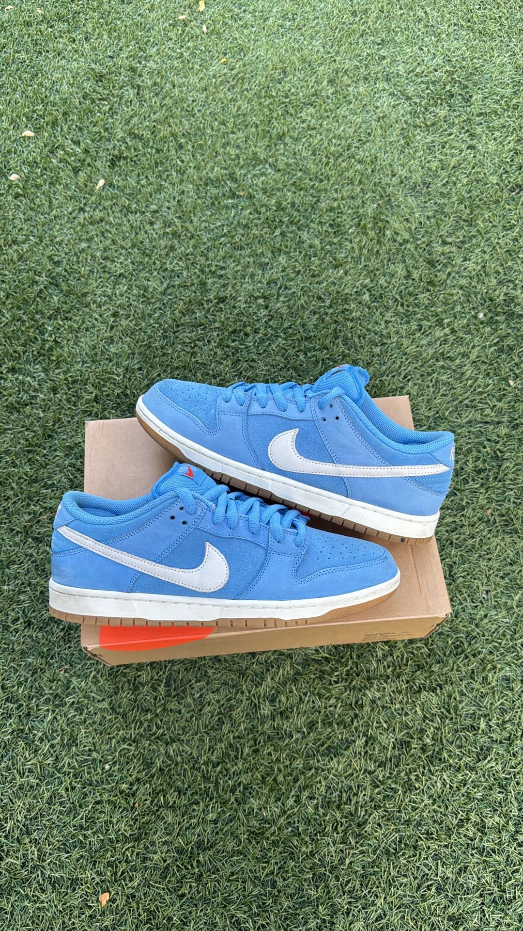 Nike Sb Dunk