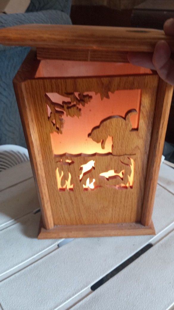 Hand Made Light Up Display