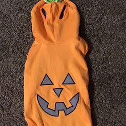 Medium Orange Dog Sweatshirt