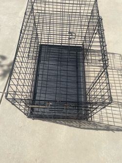 Large dog house