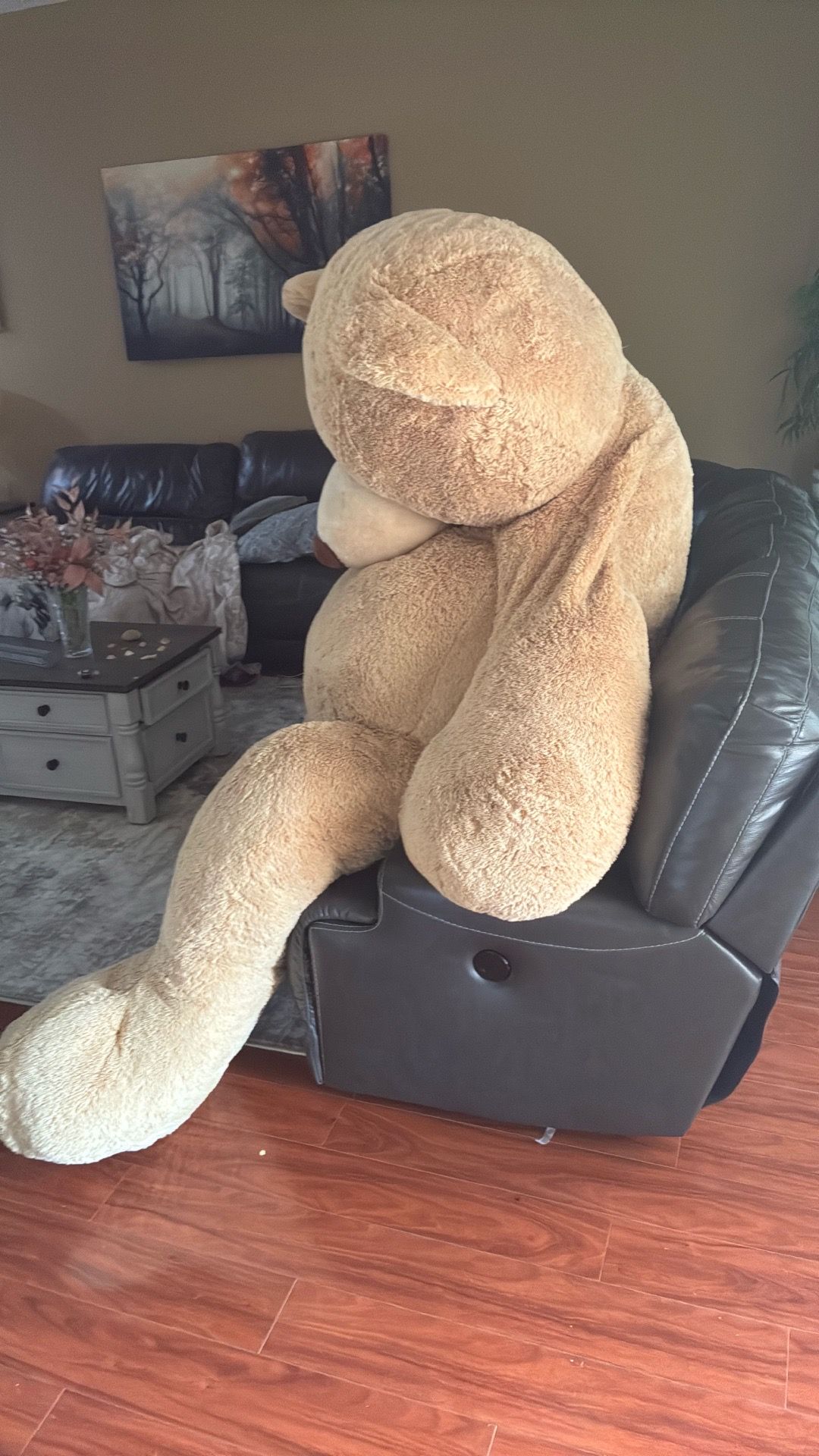 Big teddy bear