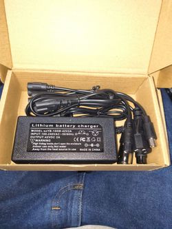 Universal scooter charger