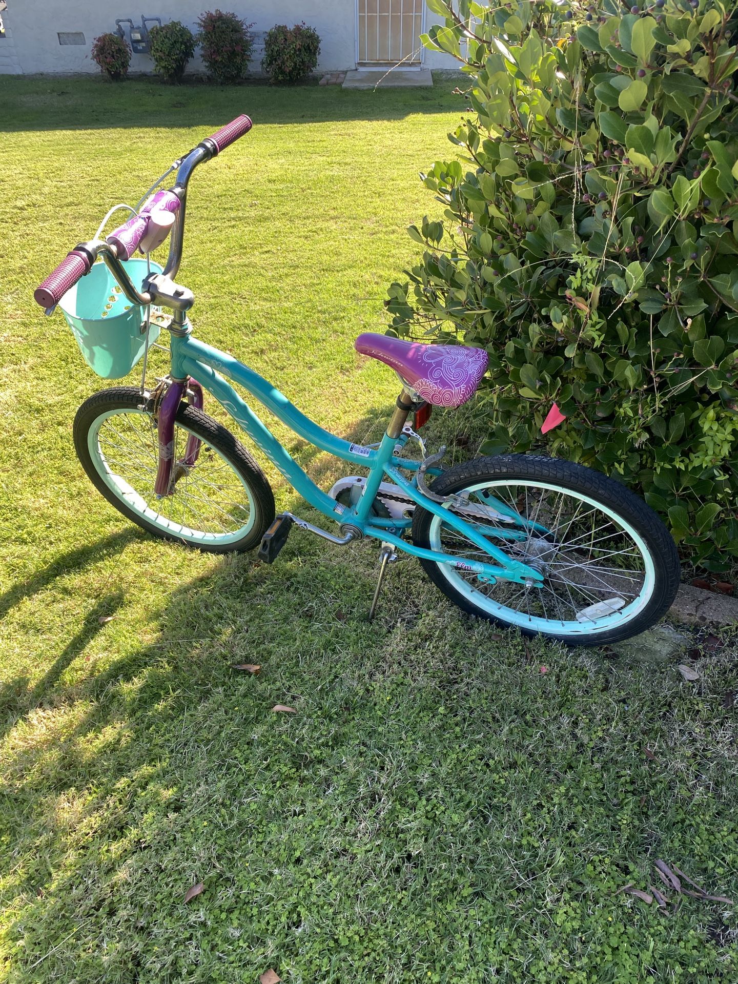 Really Nice Girls Bicycle With Basket And Light And Hand Breaks 