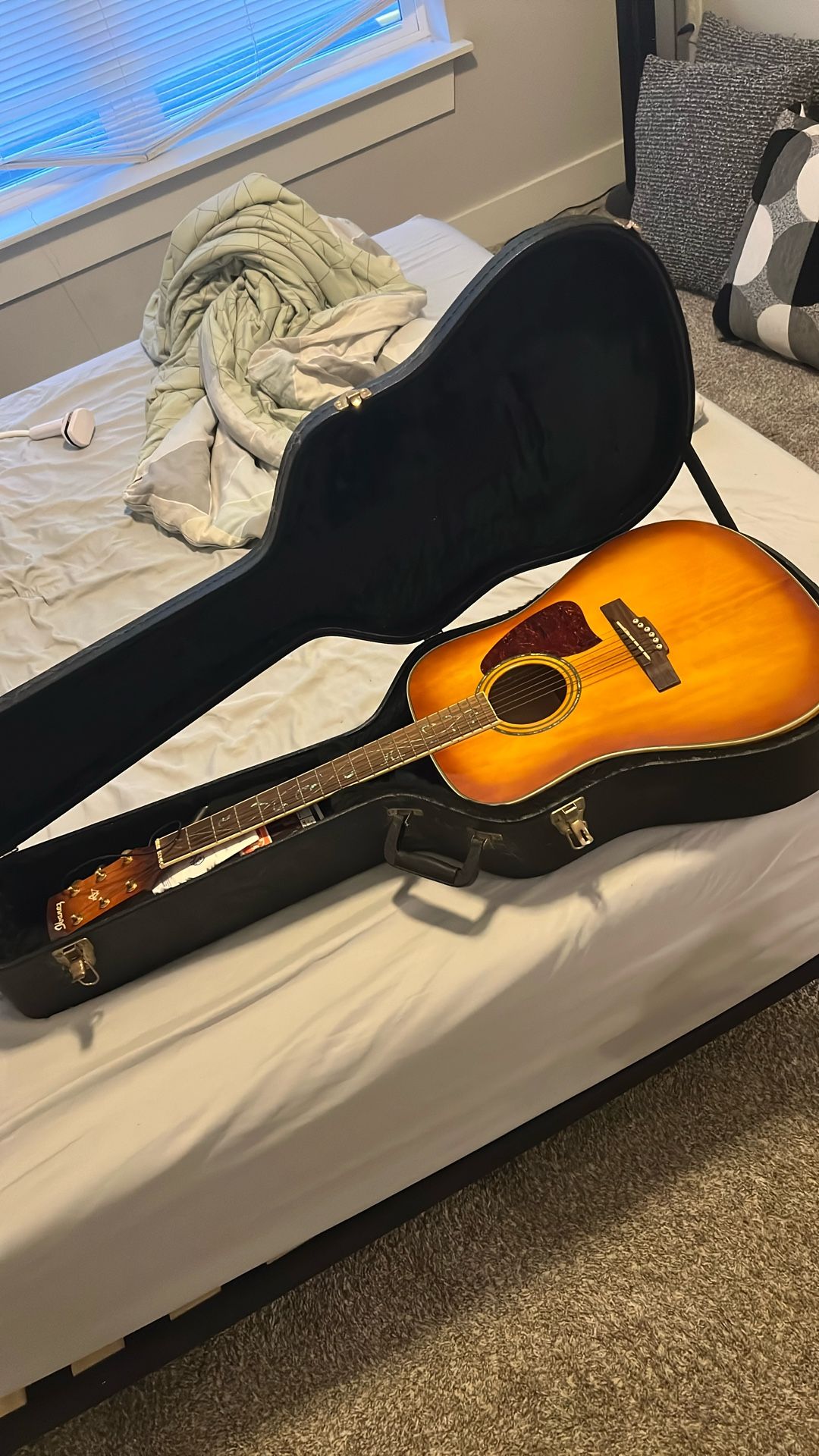 Ibanez Guitar